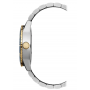 RAYMOND FREELANCER Diver