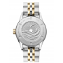 RAYMOND FREELANCER Diver